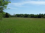 Featured Property